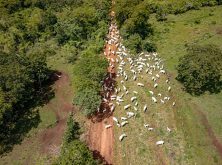 gaia_expedicao_pantanal_sul_fotos_haroldonogueirajr-1